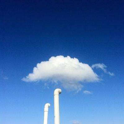 上海麻将手机app下载